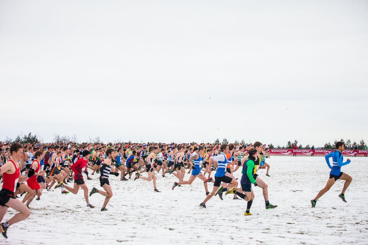 James Dodd Portfolio Image