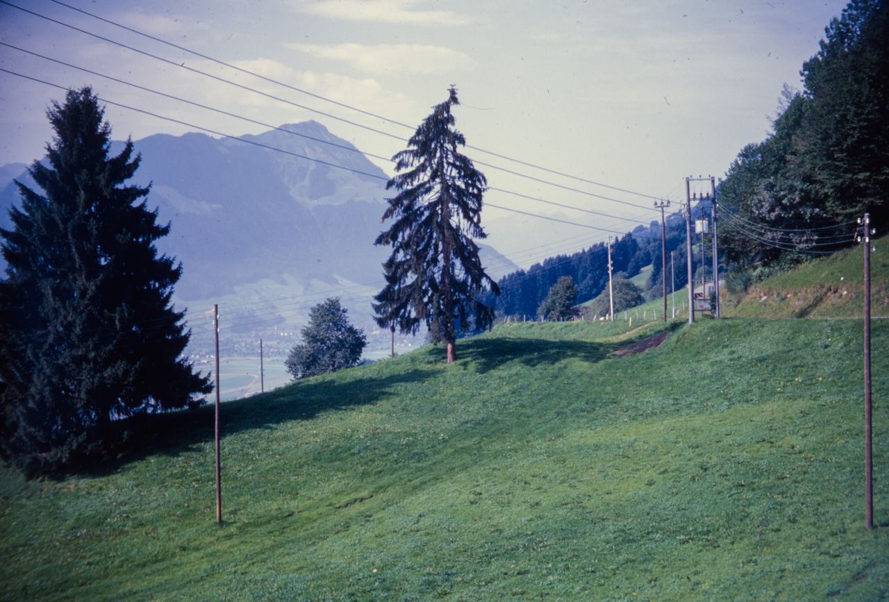 Deadphotographers 28